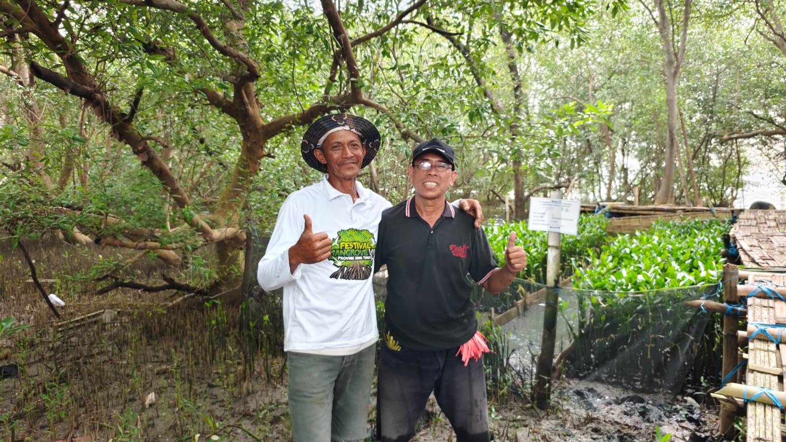 Menanam Harapan di Pesisir: Upaya TPS Sejahterakan Petani Lewat Pembibitan 10.000 Mangrove